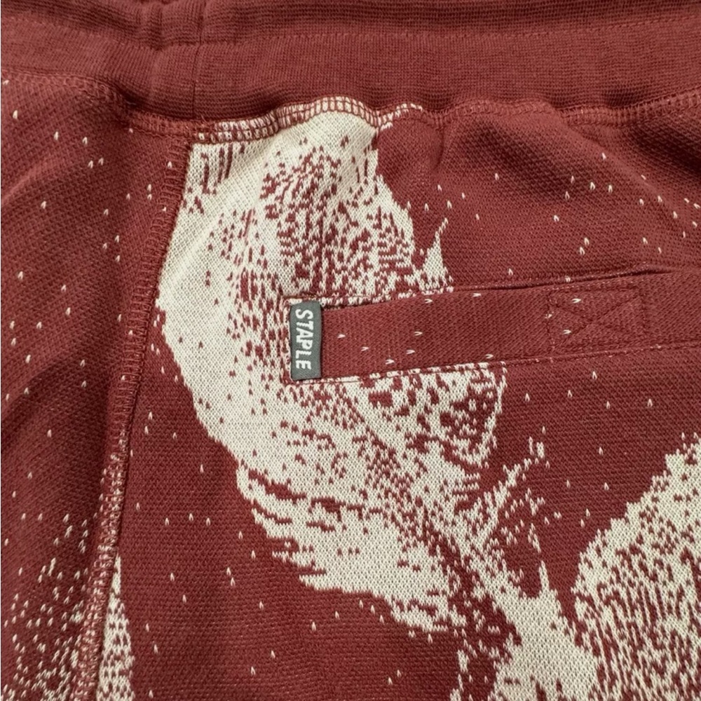 Jeff Staple Shorts - Picture 2 of 9
